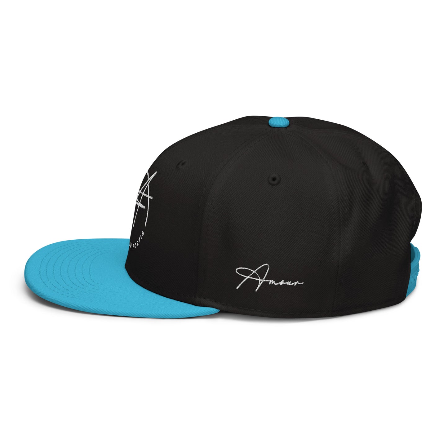 Snapback Hat (color options)