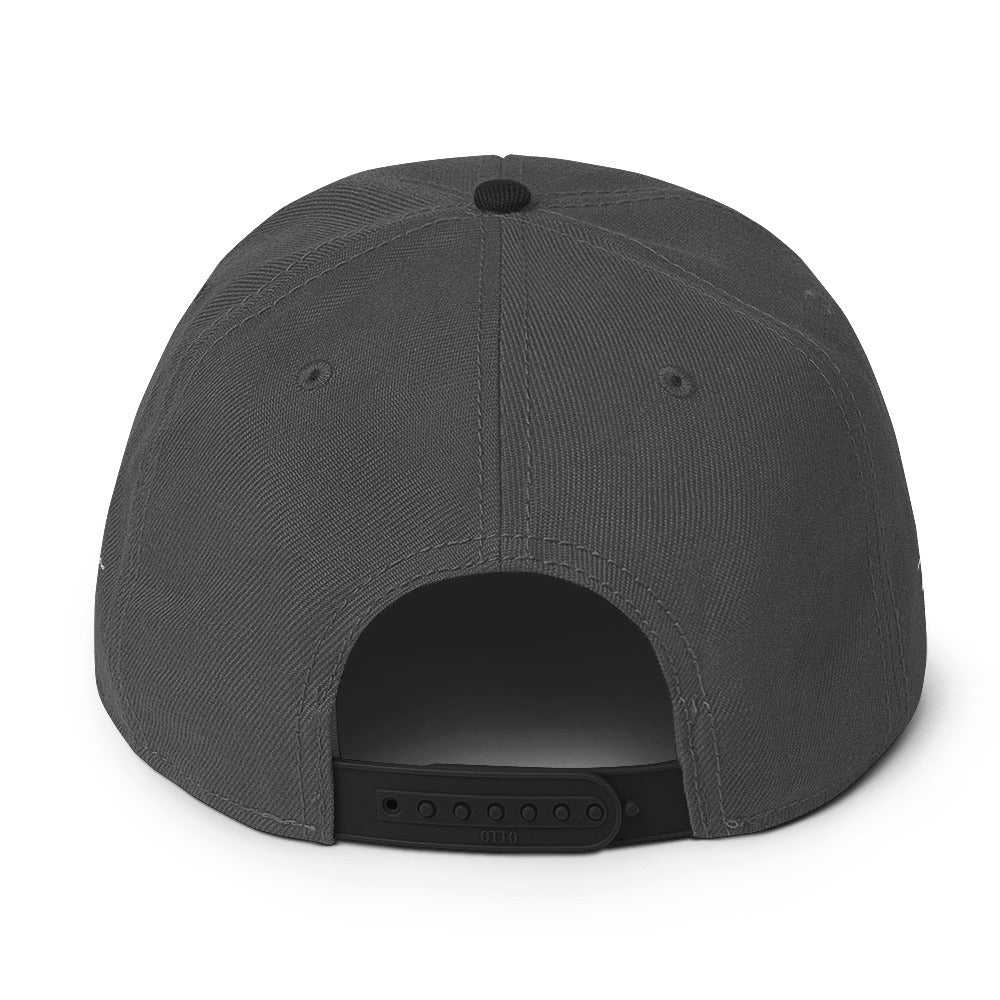 Snapback Hat (color options)