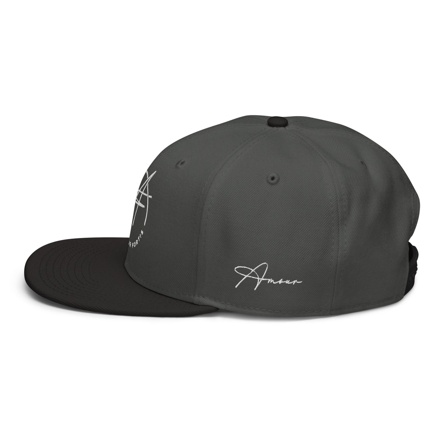 Snapback Hat (color options)