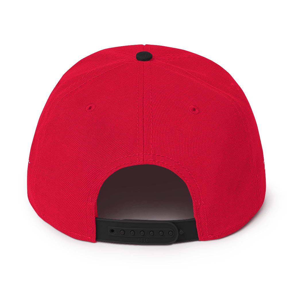 Snapback Hat (color options)