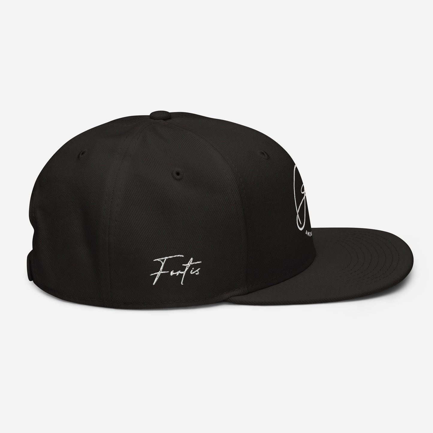 Snapback Hat (color options)