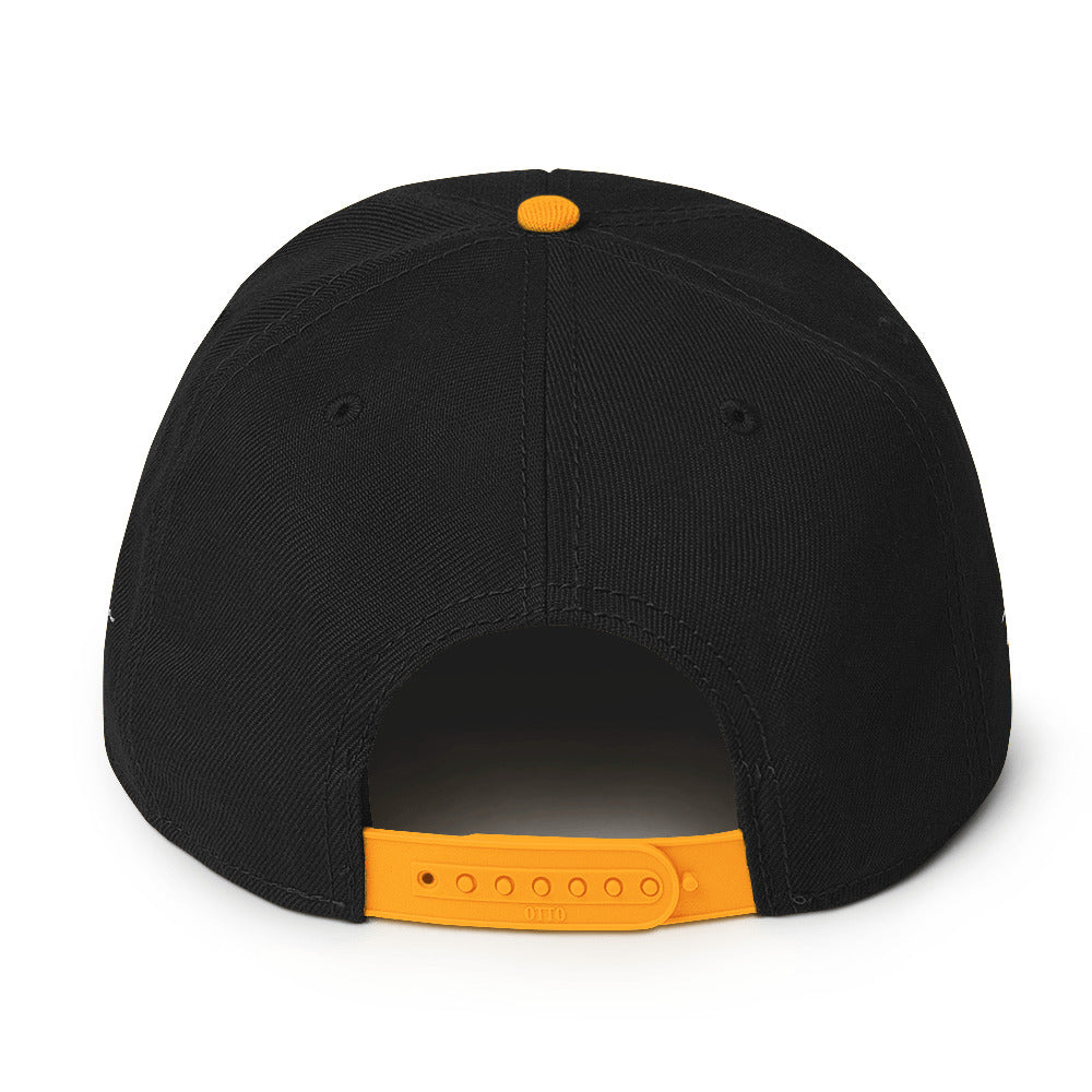 Snapback Hat (color options)