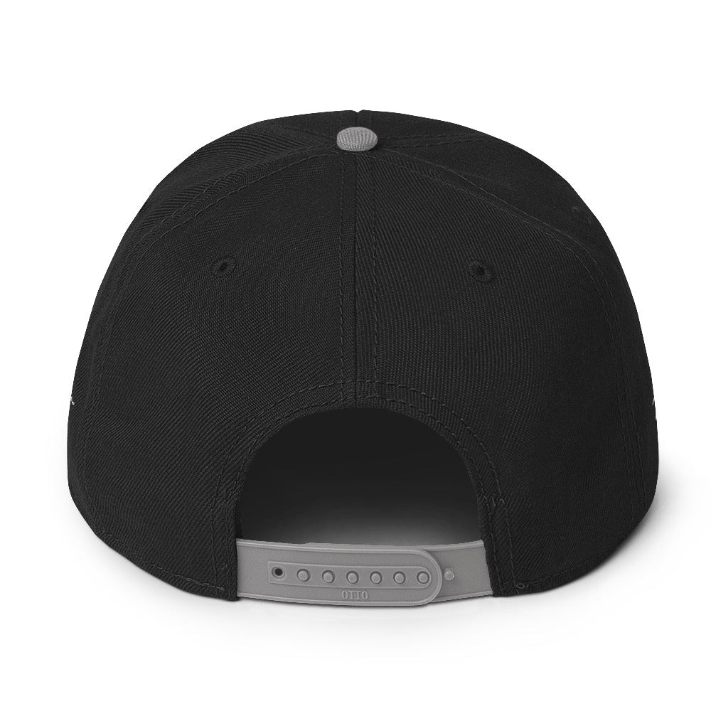 Snapback Hat (color options)