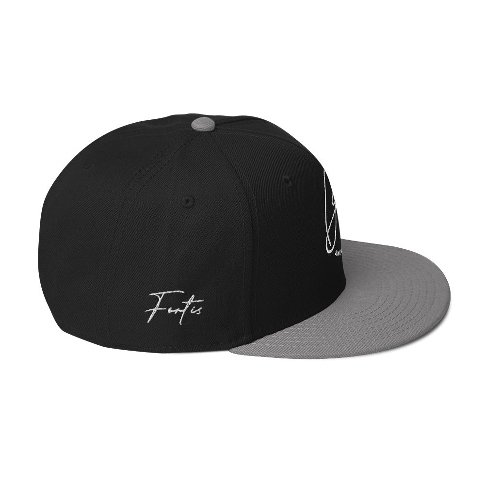 Snapback Hat (color options)