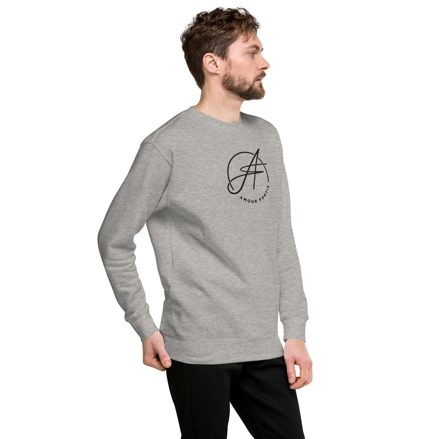 Brand Logo Unisex Premium Sweatshirt (color option)