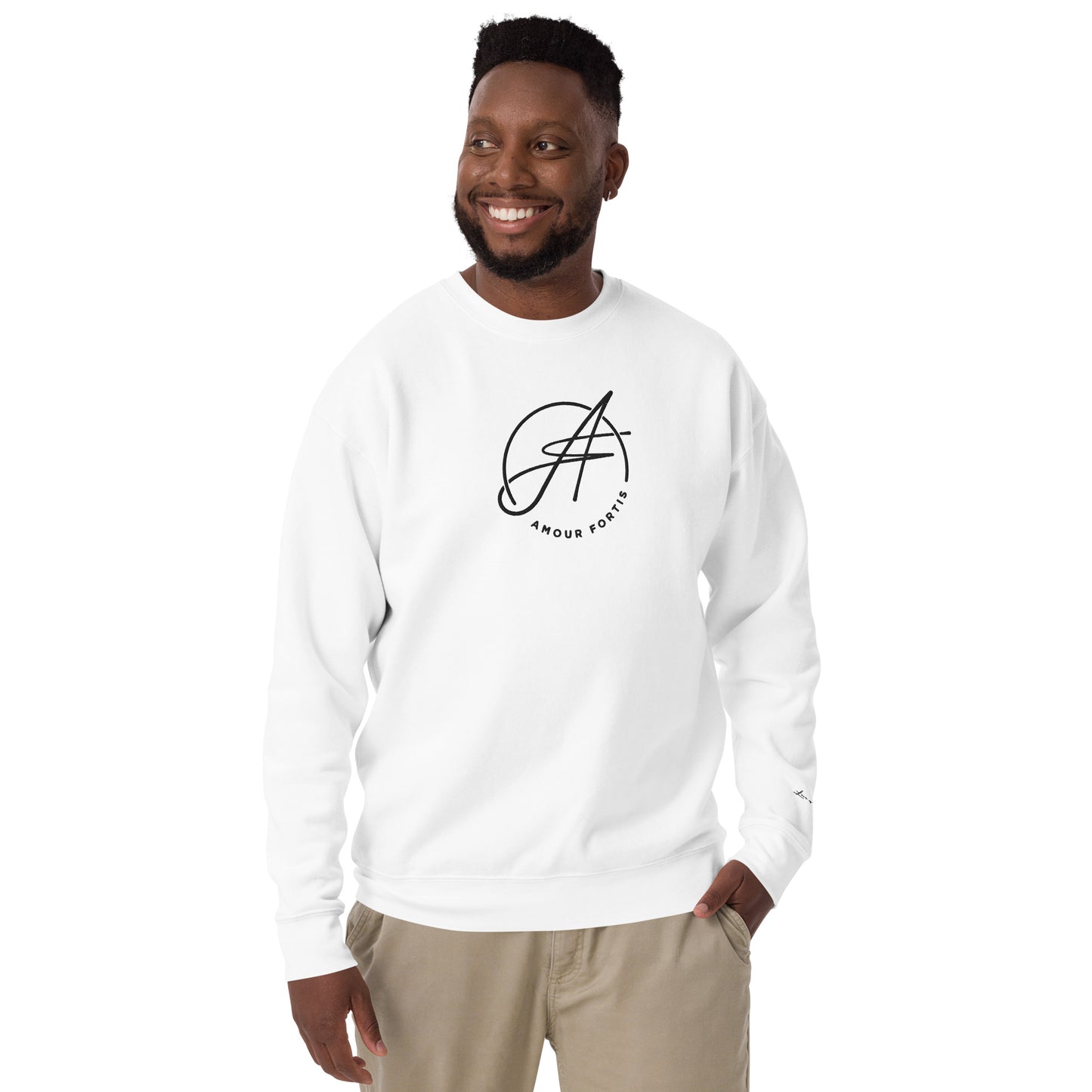 Brand Logo Unisex Premium Sweatshirt (color option)