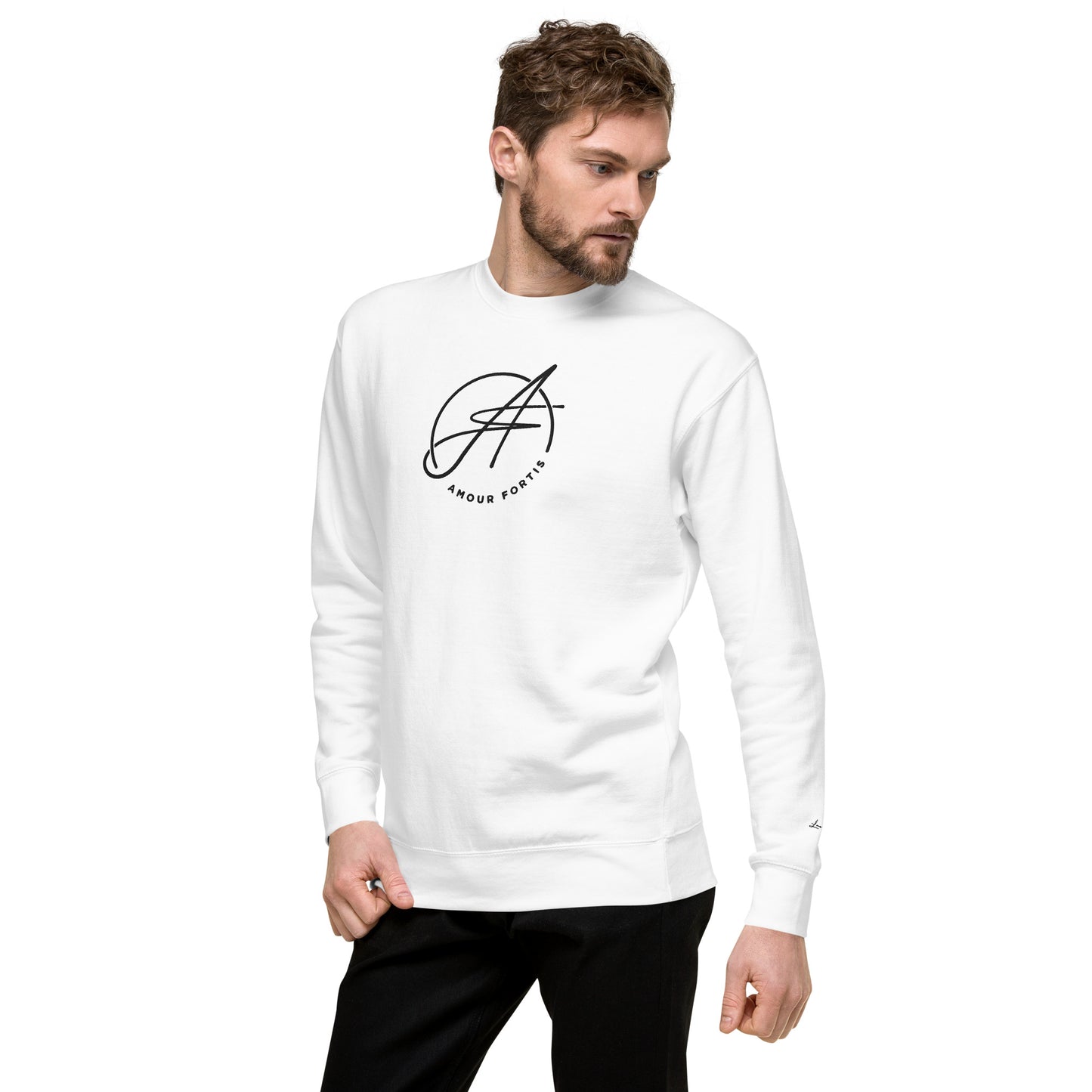 Brand Logo Unisex Premium Sweatshirt (color option)