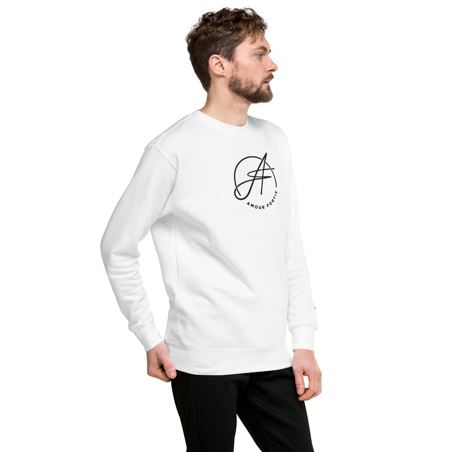 Brand Logo Unisex Premium Sweatshirt (color option)