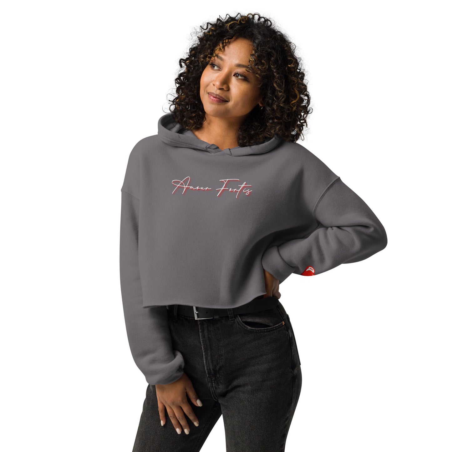 Signature Logo Splice Crop Hoodie